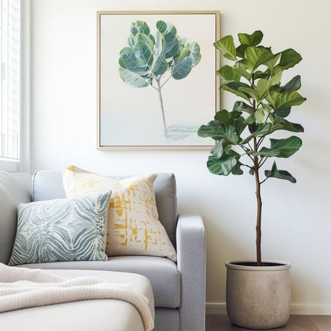 Propagating a Fiddle Leaf Fig - Plantology USA