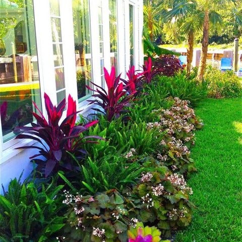 Spring Nursery Guide: Cultivate a successful garden - Plantology USA