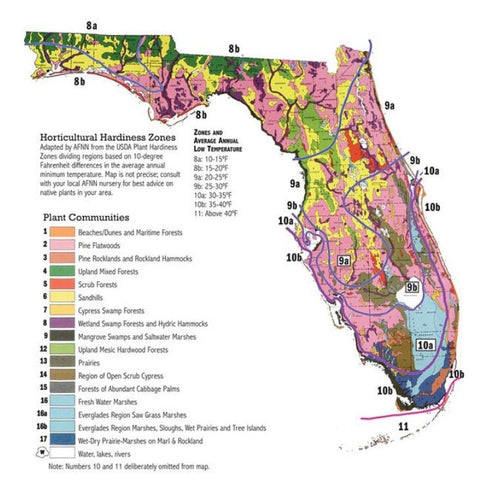 Understanding Plant Sizing: A Comprehensive Guide for Horticulturists - Plantology USA
