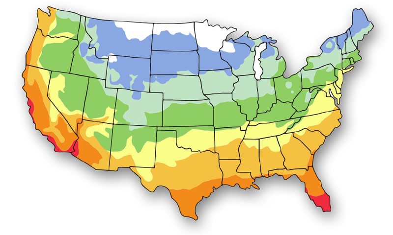 Growing Zone: 4-11