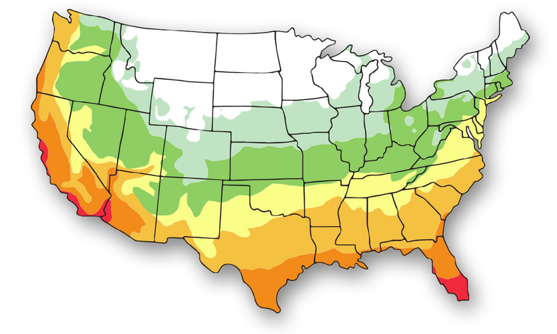 Growing Zone: 5-11