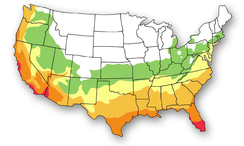 Growing Zone: 6-11