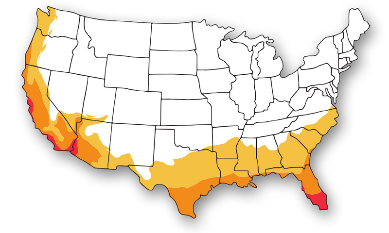 Growing Zone: 8-11