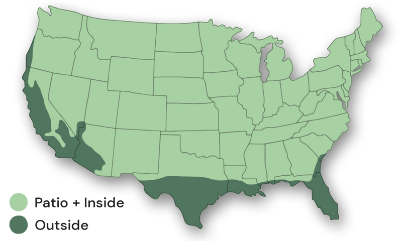 Growing Zone: 9-11