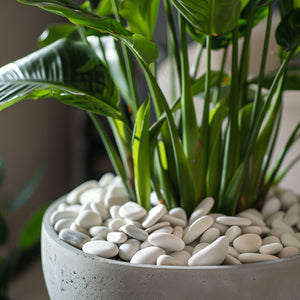 Pebble Finishing Stones