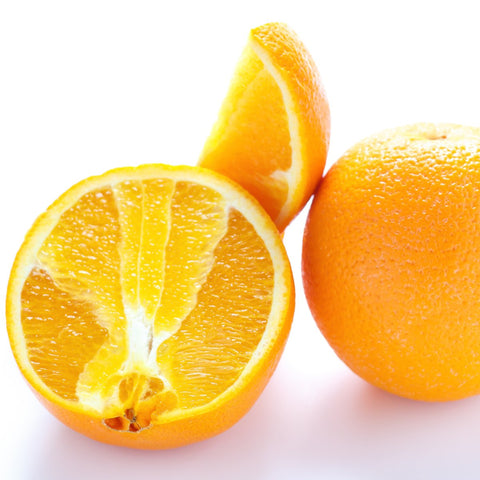 Navel Orange (Citrus Sinensis) - PlantologyUSA - Medium 4-5'