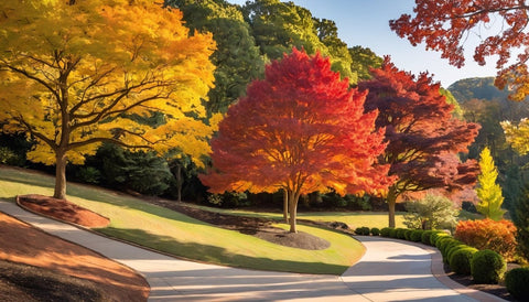 Best Trees for a Slope-Friendly Fall Garden - Plantology USA