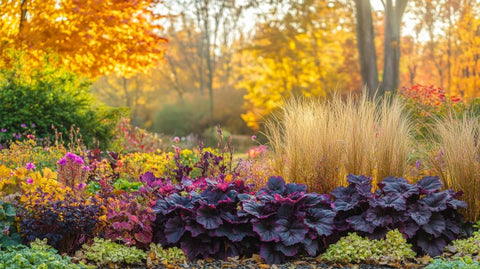 Creating a Fall Garden with Heuchera - Plantology USA