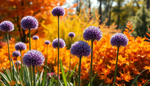 Creating a Fall Garden with Ornamental Onions - Plantology USA