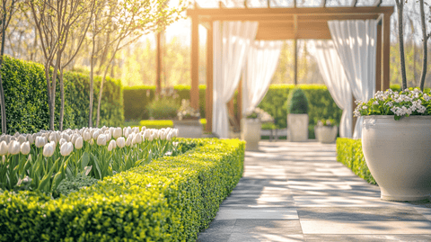 How to choose the perfect hedge plants for spring landscaping - Plantology USA