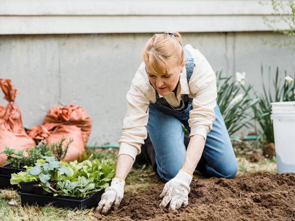 Fall Plant Care Routines | Seasonal Tips | Plantology – Plantology USA