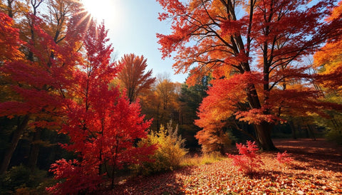 Planting Trees for a Spectacular Autumn Transition - Plantology USA