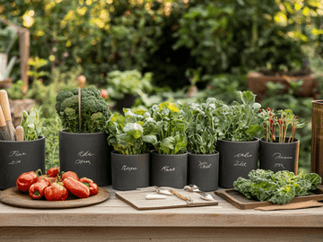 Vegetable Planting Calendar By Zip Code – Plantology USA