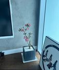 Desert Rose (Adenium Obesum) - Plantology USA - Large