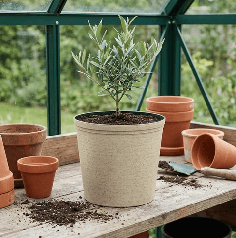 Growers Pot - Plantology USA - Beige