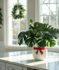 Monstera + Pot (Gift Bundle) - Plantology USA - Medium