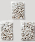 Pebble Finishing Stones - Plantology USA - 3 Bags