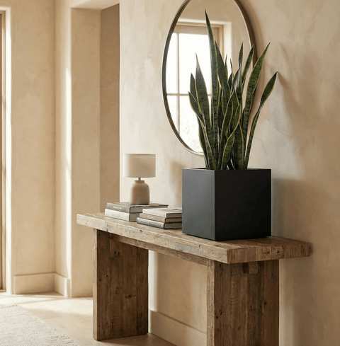 The Architectural Steel Planter - Plantology USA - 16" Cube