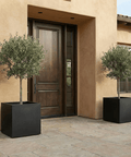The Architectural Steel Planter - Plantology USA - 20" Cube