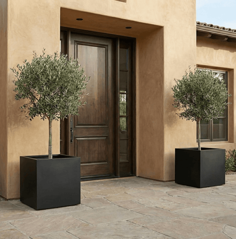 The Architectural Steel Planter - Plantology USA - 20" Cube