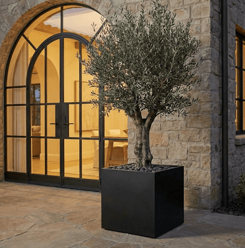 The Architectural Steel Planter - Plantology USA - 24" Cube