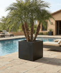 The Architectural Steel Planter - Plantology USA - 26" Cube