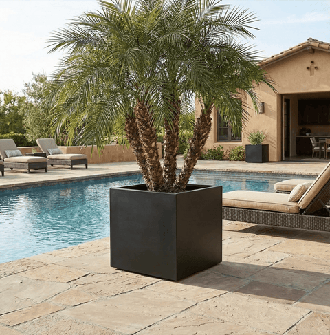 The Architectural Steel Planter - Plantology USA - 26" Cube