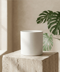 The Minimalist Cylinder - Plantology USA - Matte White