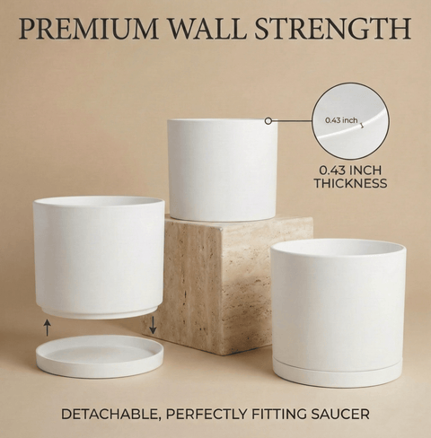 The Minimalist Cylinder - Plantology USA - Matte White