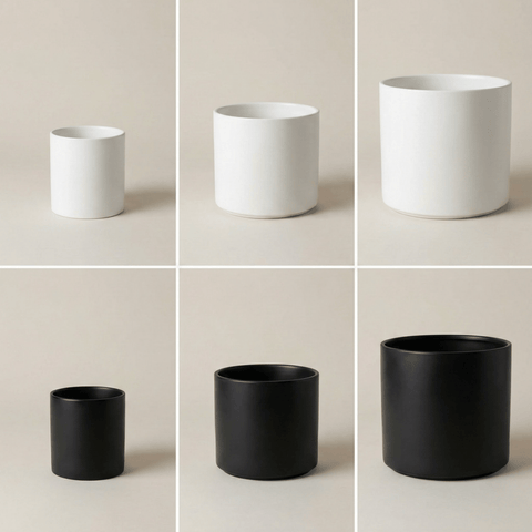 The Minimalist Cylinder - Plantology USA - Matte White