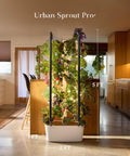 Urban Sprout - Plantology USA - Pro+