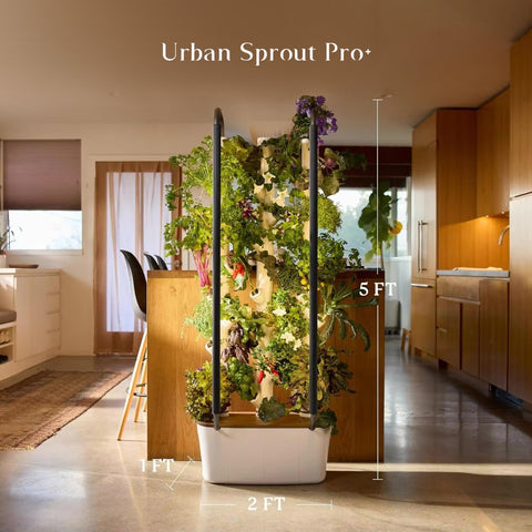 Urban Sprout - Plantology USA - Pro+