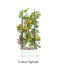 Urban Sprout - Plantology USA - Standard