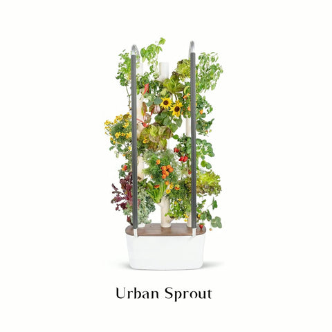 Urban Sprout - Plantology USA - Standard