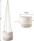 Hanging or Ground Basket from Plantology USA 04